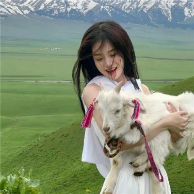 反斗星玩转绿林